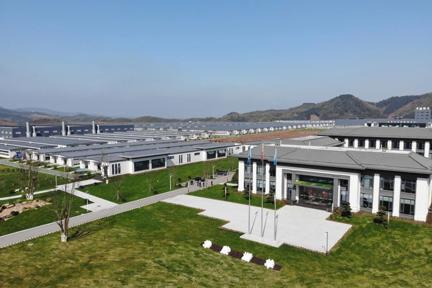 图片 1.png 图片 1.png